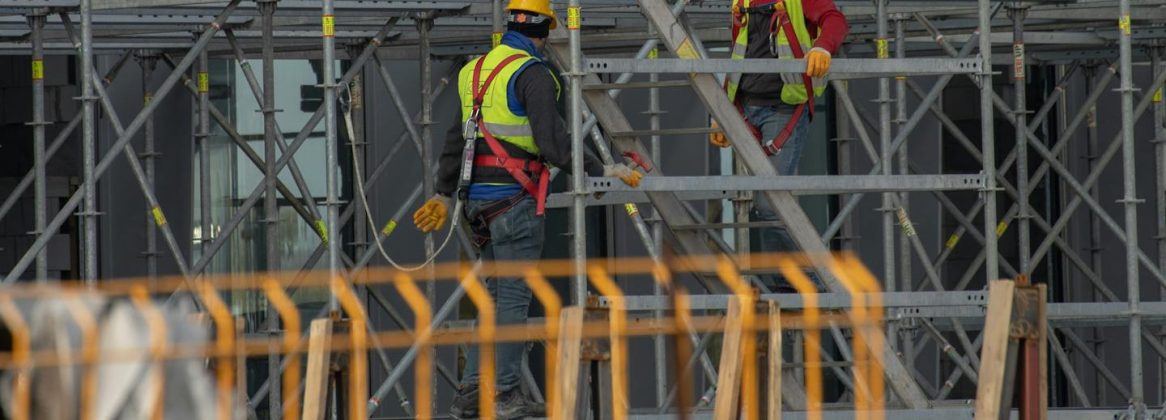 pexels-borishamer-14367420